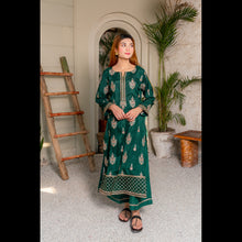 Load image into Gallery viewer, LP-501G